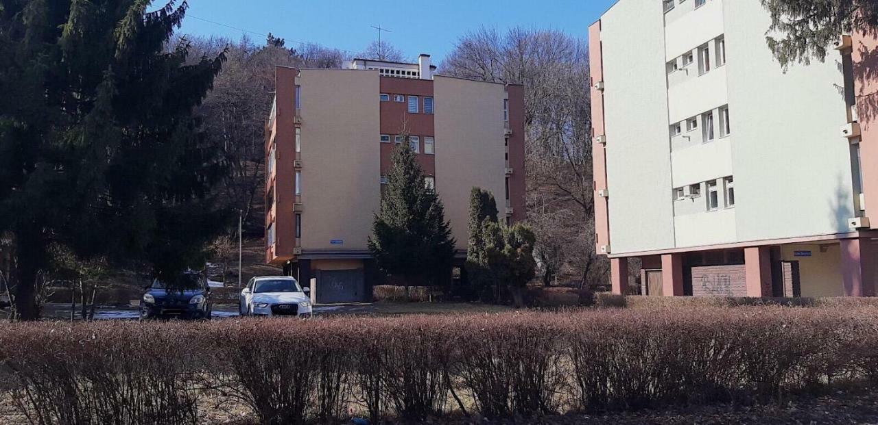 Boem Studio Brasov Exterior photo